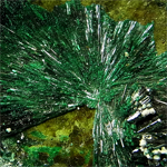 アタカマイト(Atacamite)