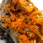 ウルフェナイト(Wulfenite)/ミメタイト(Mimetite)