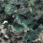 マラカイト(Malachite)/自然銅(Native Copper)/カルサイト(Calcite)