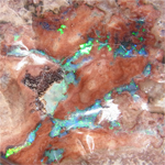 オパール(Opal)