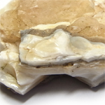 オパール(Opal)