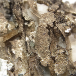 自然銀(Native Silver)/カルサイト(Calcite)