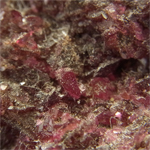 エリスライト(Erythrite)