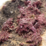 エリスライト(Erythrite)/カルサイト(Calcite)