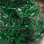 ブロシャンタイト(Brochantite)/カルコパイライト(Chalcopyrite)