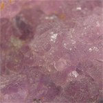 コバルトカルサイト(Cobaltian Calcite)