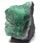 エメラルド(Bryl var. Emerald)