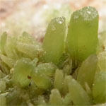 パイロモーファイト(Pyromorphite)