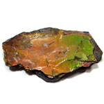 アンモライト(Ammolite)