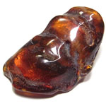 琥珀(Amber)