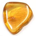 琥珀(Amber)