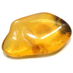 琥珀(Amber)