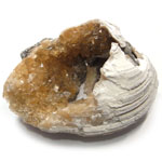 カルサイト(Calcite crystals in clams shells)