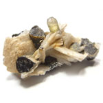 トルマリン(Tourmaline)/クォーツ(Quartz)/バライト(Barite)