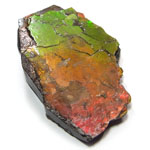 アンモライト(Ammolite)