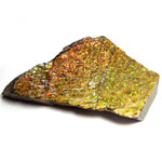 アンモライト(Ammolite)