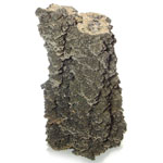 パイライト(Pyrite 黄鉄鉱)