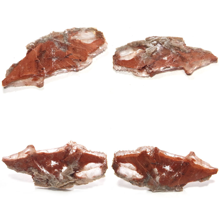 フェロセレナイト(Ferro selenite)