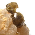 マリガーネット(Garnet)